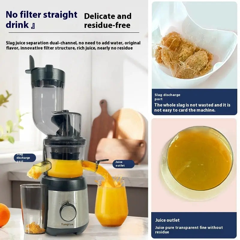 Fruit Household Portable Electric Juicer PureLittleBloom.Co