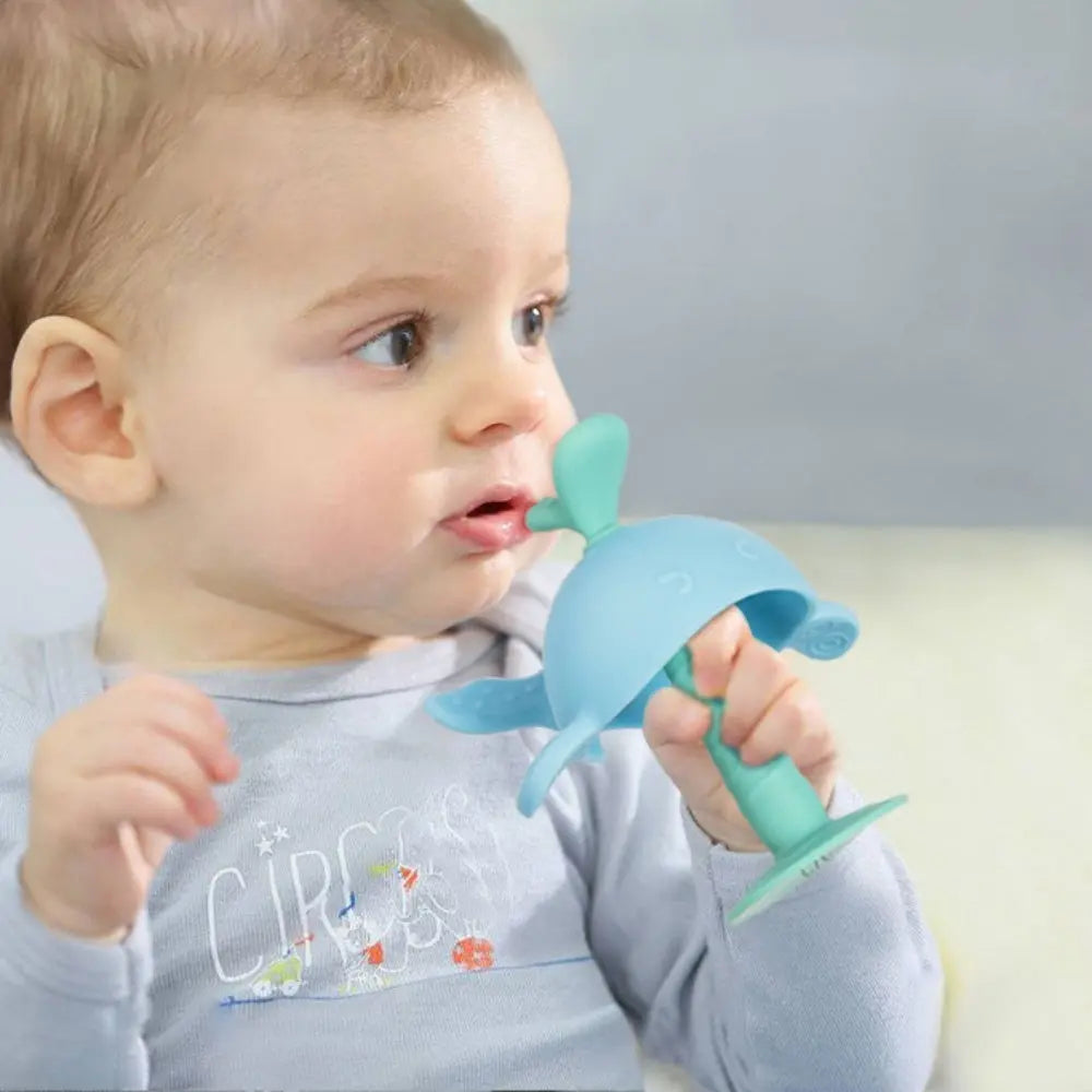 Baby Teething Toys For Newborn Infants Safe Infant And Toddler Silicone Teethers Soothe Babies Gums Perfect Baby Shower Gift PureLittleBloom.Co