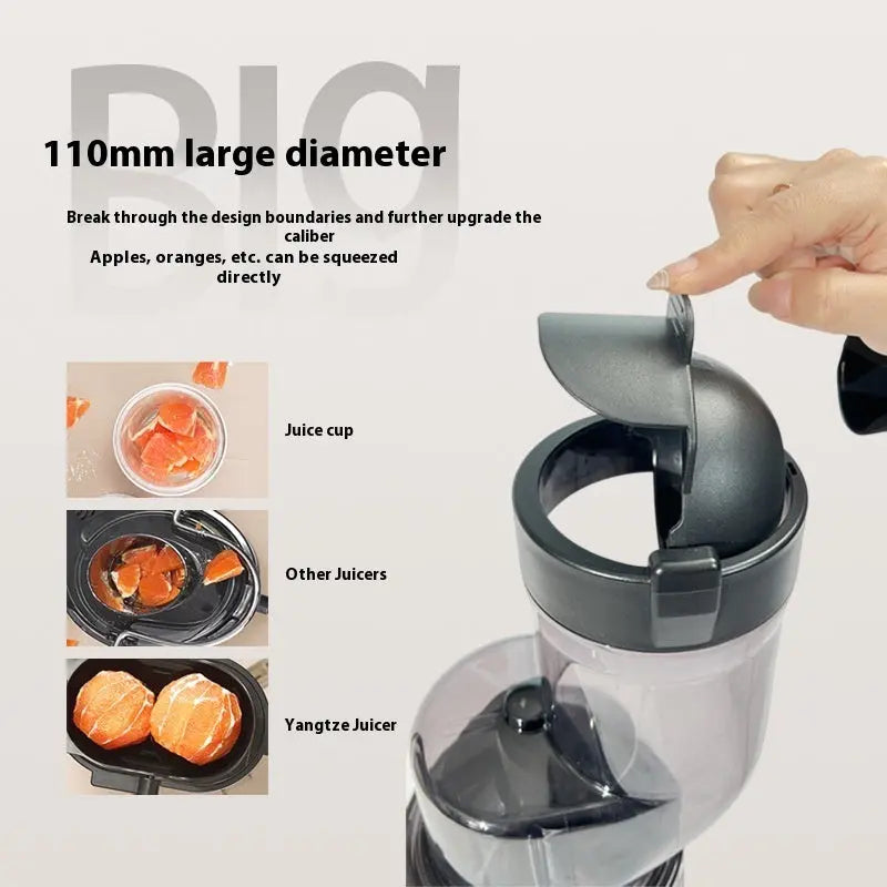 Fruit Household Portable Electric Juicer PureLittleBloom.Co
