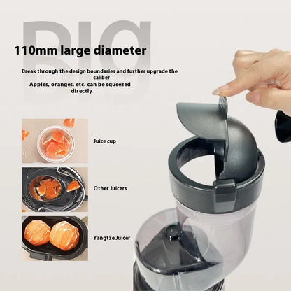 Fruit Household Portable Electric Juicer PureLittleBloom.Co