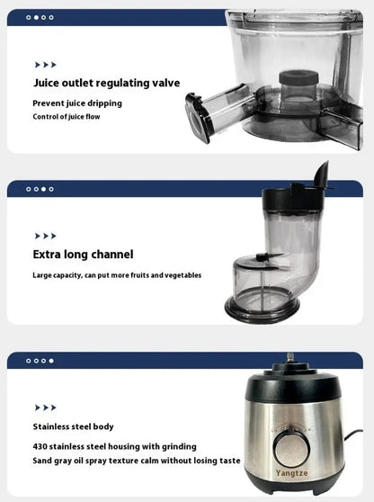 Fruit Household Portable Electric Juicer PureLittleBloom.Co
